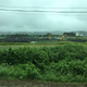 A view from Fukushima
